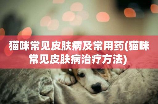 貓咪常見皮膚病及常用藥(貓咪常見皮膚病治療方法) 