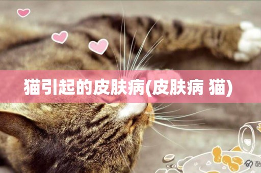 貓引起的皮膚病(皮膚病 貓) 
