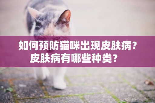 如何預防貓咪出現皮膚病？皮膚病有哪些種類？ 