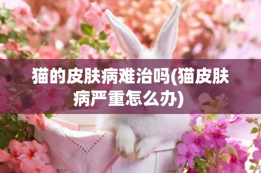 貓的皮膚病難治嗎(貓皮膚病嚴重怎么辦) 