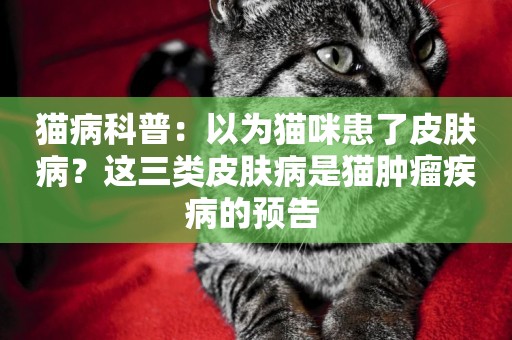 貓病科普：以為貓咪患了皮膚病？這三類皮膚病是貓腫瘤疾病的預告 