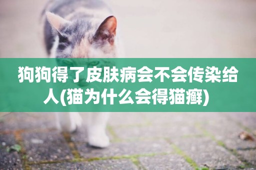 狗狗得了皮膚病會不會傳染給人(貓為什么會得貓癬) 