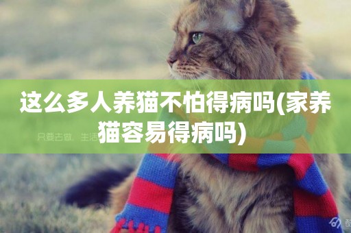 這么多人養貓不怕得病嗎(家養貓容易得病嗎) 