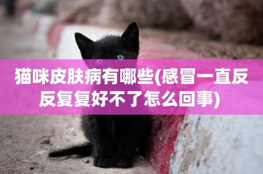 貓咪皮膚病有哪些(感冒一直反反復復好不了怎么回事) 
