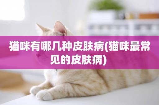 貓咪有哪幾種皮膚病(貓咪最常見的皮膚病) 