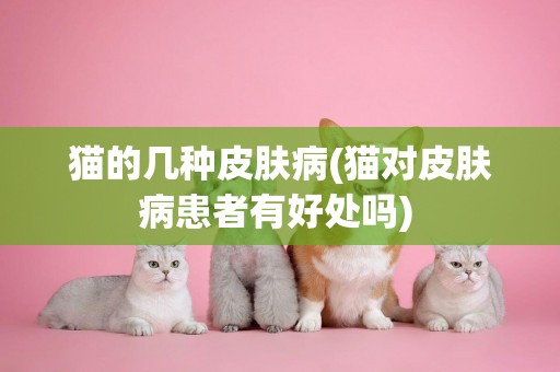 貓的幾種皮膚病(貓對皮膚病患者有好處嗎) 