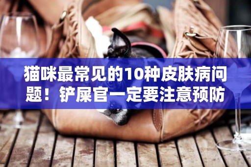 貓咪最常見的10種皮膚病問題！鏟屎官一定要注意預防！ 