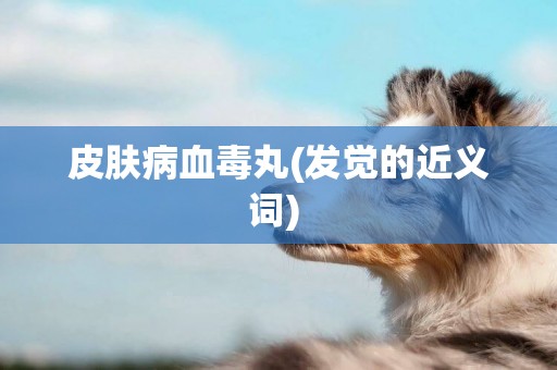 皮膚病血毒丸(發覺的近義詞) 