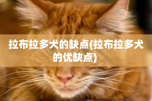 拉布拉多犬的缺點(拉布拉多犬的優缺點) 