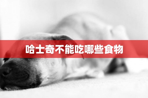 哈士奇不能吃哪些食物