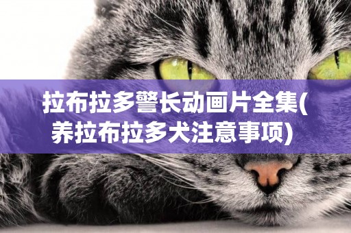 拉布拉多警長動畫片全集(養拉布拉多犬注意事項) 