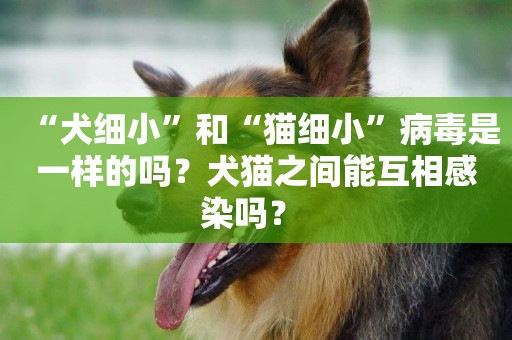 “犬細小”和“貓細小”病毒是一樣的嗎？犬貓之間能互相感染嗎？ 