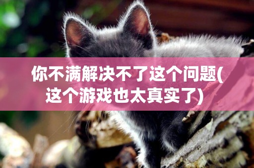你不滿解決不了這個問題(這個游戲也太真實了) 