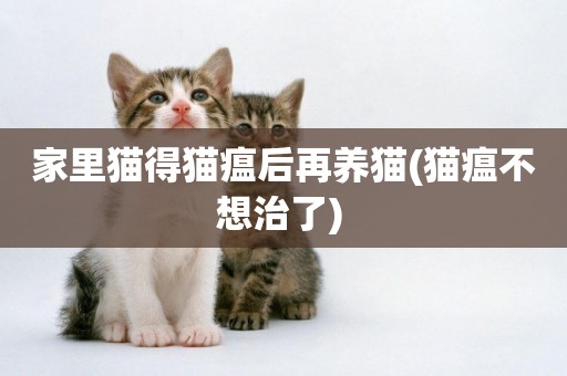 家里貓得貓瘟后再養貓(貓瘟不想治了) 