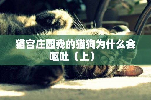 貓宮莊園我的貓狗為什么會嘔吐（上） 