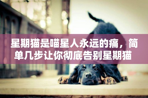 星期貓是喵星人永遠的痛，簡單幾步讓你徹底告別星期貓 