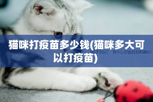 貓咪打疫苗多少錢(貓咪多大可以打疫苗) 