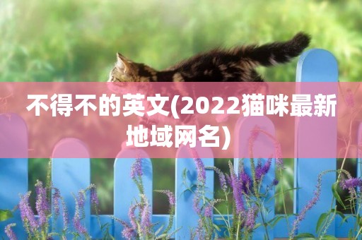不得不的英文(2022貓咪最新地域網名) 