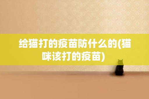 給貓打的疫苗防什么的(貓咪該打的疫苗) 