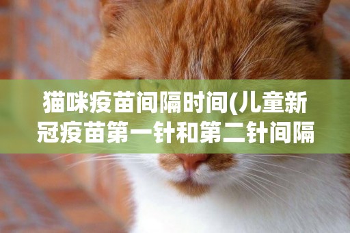 貓咪疫苗間隔時間(兒童新冠疫苗第一針和第二針間隔多長時間失效) 