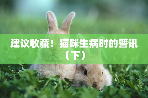 建議收藏！貓咪生病時的警訊（下） 