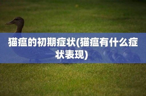 貓瘟的初期癥狀(貓瘟有什么癥狀表現) 