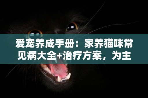 愛寵養成手冊：家養貓咪常見病大全+治療方案，為主子一鍵收藏 