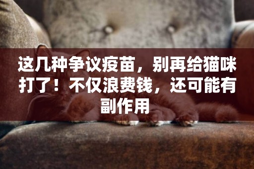 這幾種爭議疫苗，別再給貓咪打了！不僅浪費錢，還可能有副作用 