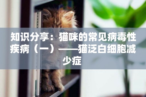 知識分享：貓咪的常見病毒性疾病（一）——貓泛白細胞減少癥 