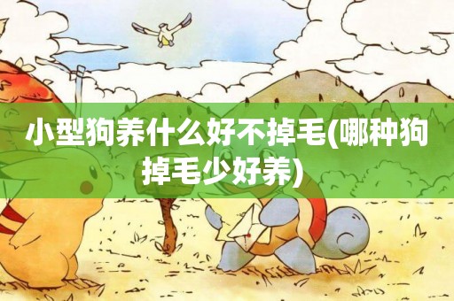 小型狗養什么好不掉毛(哪種狗掉毛少好養) 