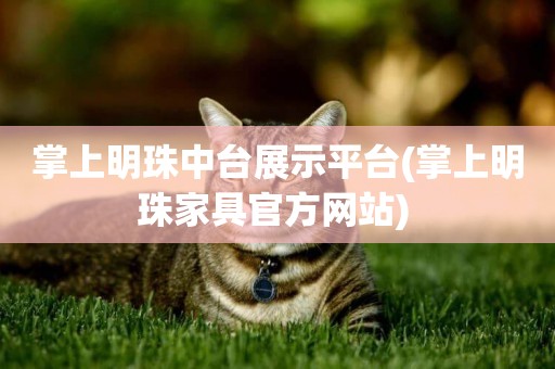掌上明珠中臺展示平臺(掌上明珠家具官方網站) 