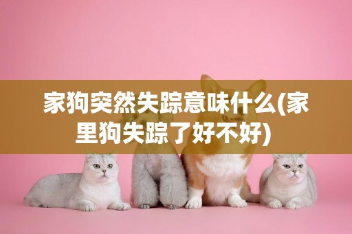 家狗突然失蹤意味什么(家里狗失蹤了好不好) 