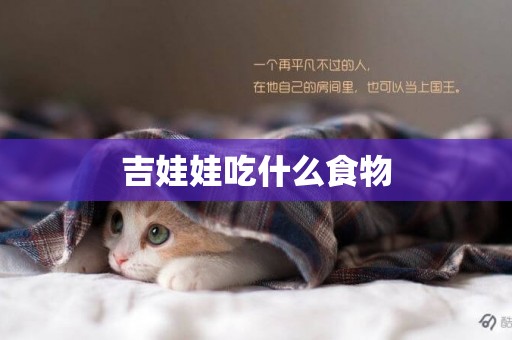 吉娃娃吃什么食物