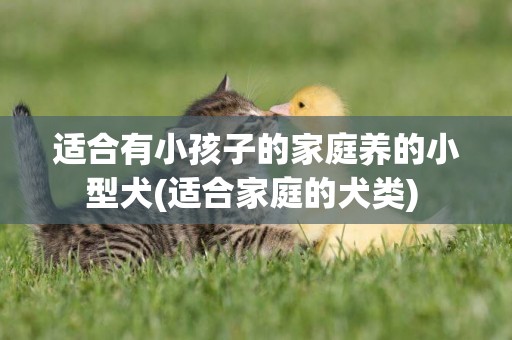 適合有小孩子的家庭養的小型犬(適合家庭的犬類) 