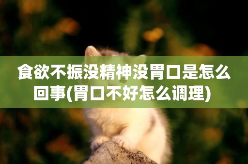 食欲不振沒精神沒胃口是怎么回事(胃口不好怎么調理) 