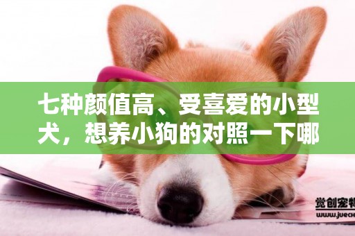 七種顏值高、受喜愛的小型犬，想養小狗的對照一下哪種適合自己 
