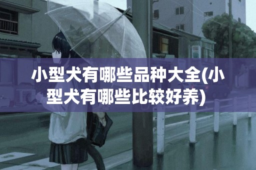 小型犬有哪些品種大全(小型犬有哪些比較好養) 