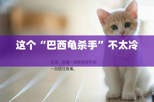 這個“巴西龜殺手”不太冷 