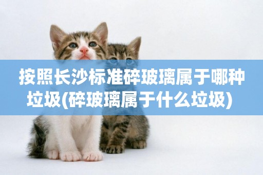 按照長沙標準碎玻璃屬于哪種垃圾(碎玻璃屬于什么垃圾) 