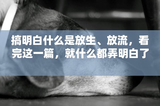 搞明白什么是放生、放流，看完這一篇，就什么都弄明白了 