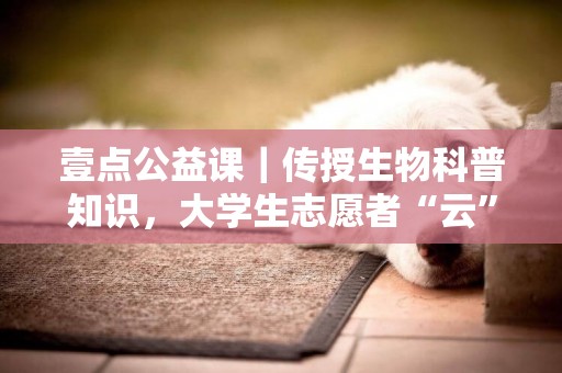 壹點公益課｜傳授生物科普知識，大學生志愿者“云”支教獻愛心 
