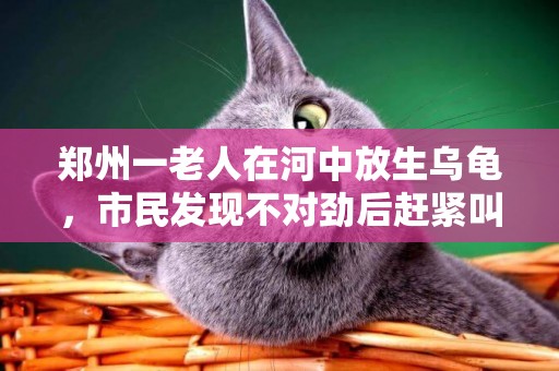 鄭州一老人在河中放生烏龜，市民發現不對勁后趕緊叫人 