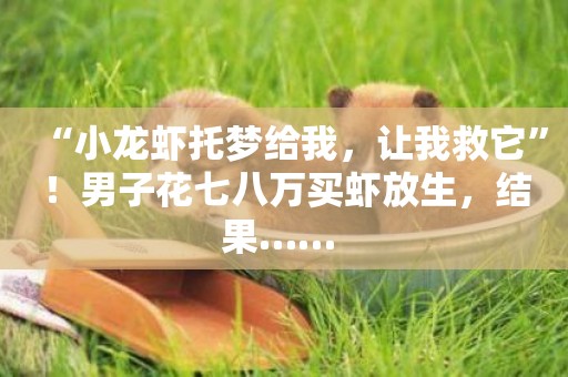 “小龍蝦托夢給我，讓我救它”！男子花七八萬買蝦放生，結果…… 