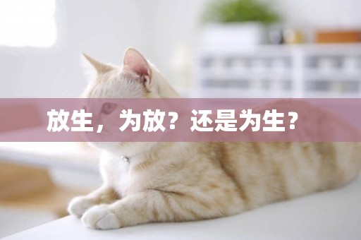 放生，為放？還是為生？ 