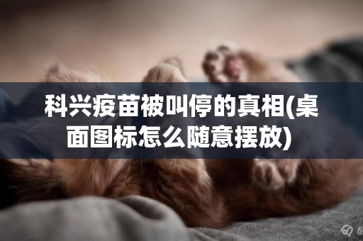 科興疫苗被叫停的真相(桌面圖標怎么隨意擺放) 