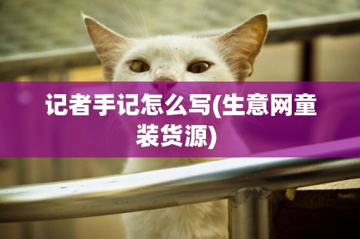記者手記怎么寫(生意網童裝貨源) 