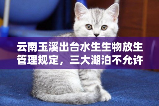 云南玉溪出臺水生生物放生管理規定，三大湖泊不允許放生小龍蝦、巴西龜、牛蛙等 