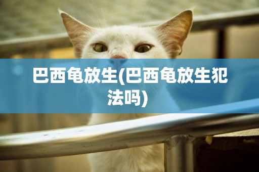 巴西龜放生(巴西龜放生犯法嗎) 