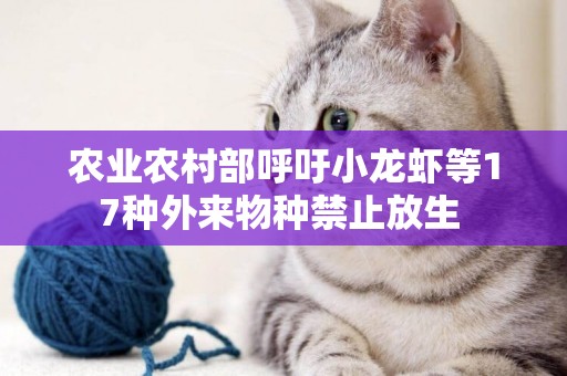 農業農村部呼吁小龍蝦等17種外來物種禁止放生 