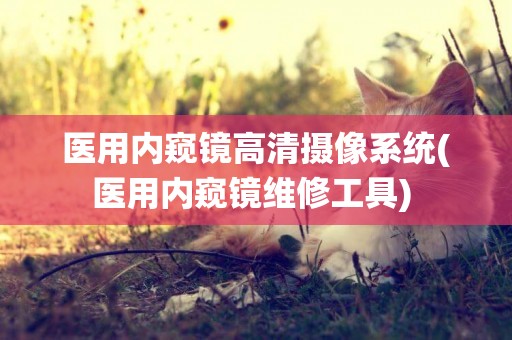 醫用內窺鏡高清攝像系統(醫用內窺鏡維修工具) 